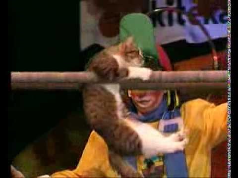 Театр кошек Куклачёва