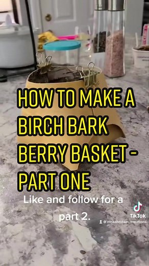 How to make a birch bark berry basket part 1 #indigenoustiktok #fyp