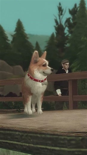 Medieval Corgi Training | The Sims 4