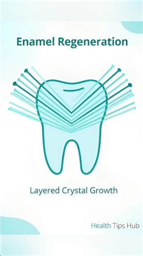Can Tooth Enamel Grow Back? 🦷 | New Science Explained