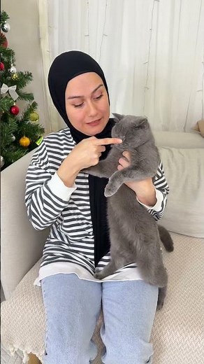 Cute 🍼🍬🍭✨🍡💫🍦🍫🐈⚡️