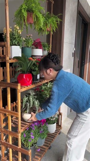 Spider plant solid wood plant stand #MyFlowersAndPlants #LoveLifeLoveFlowers