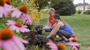 Spring has sprung, and what better way to enjoy it than at Katie's Garden in Platteville? 🌸 | Discover Wisconsin