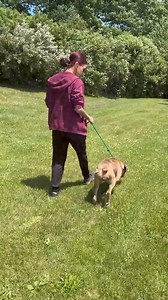 4.1K views · 63 reactions | Trudy has come a long way since initially...