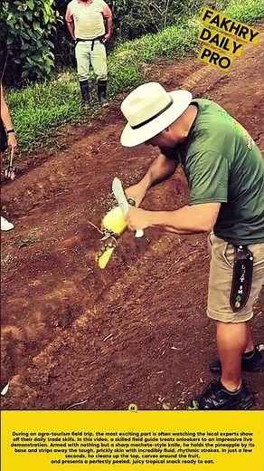Mastering the Blade: The Most Satisfying Way to Cut a Fresh Pineapple