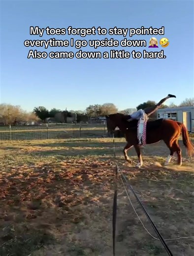 Equestrian Vaulting Tips for Beginners