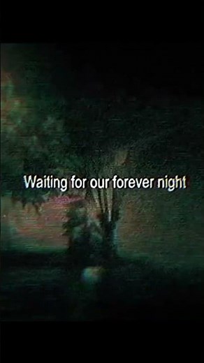 All Night Forever (Lyrics)