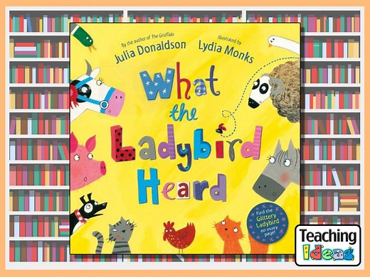What The Ladybird Heard - Teaching Ideas