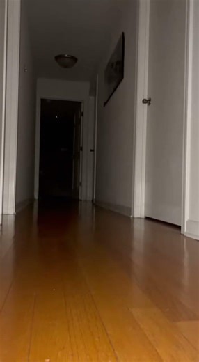 Cat Gets Startled by Motion Sensor Light 🐱