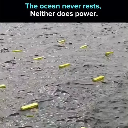 @victorypoints_ on Instagram: "Power from Waves 🌊 Wave power generators convert the constant motion of ocean swells into electricity using mechanical or hydraulic systems connected to generators. Unlike solar or wind, wave energy is highly predictable, producing consistent output day and night. For coastal nations aiming to decarbonize grids, wave energy presents a scalable complement to offshore wind, particularly for island and shoreline communities. It taps into a resource that surrounds muc