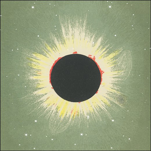 A Guide To Sun Signs, The Zodiac Sign That’s ‘﻿Central To Who You Are’