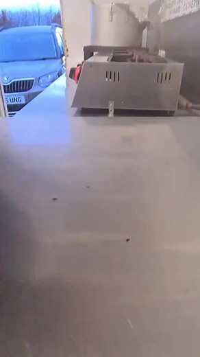 Today was cook day. They are long and sometimes boring. Here's a bit that kept me entertained #serotonin #happy #chaos #foryoupage #funny