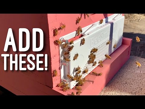 How to Install Bee Smart Robbing Screens 2020 | What are Robbing Screens? | Beginning Beekeeping