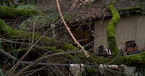 Auburn woman trapped after large tree falls on home
