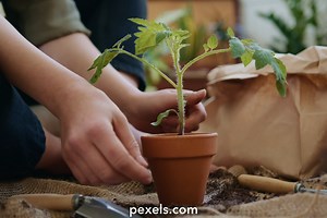 Tag Videos, Download The BEST Free 4k Stock Video Footage & Tag HD Video Clips