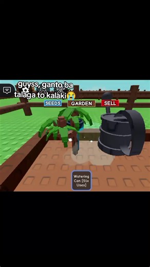 How to Grow a Real Nectarine Tree in Your Garden