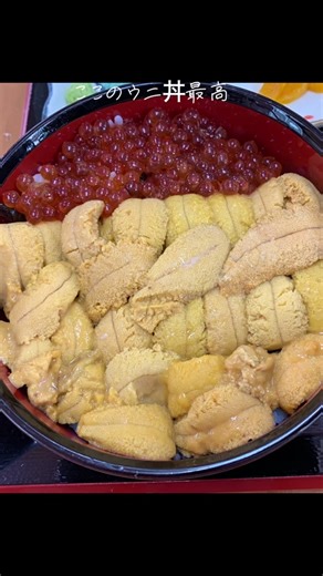 樺太食堂で楽しむ最高のウニ丼