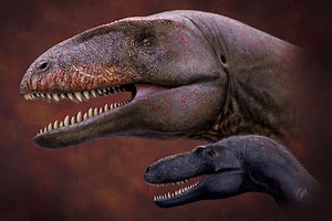 T-Rex 'cousin' with 'shark teeth' was top of food chain 90million years ago