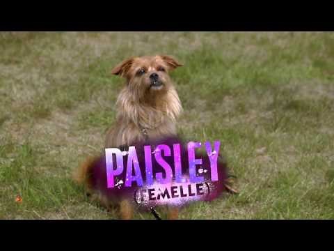 Descendants, Les Secrets Révélés - Secret n°2 : Camarade a l'air d'une vraie Dame