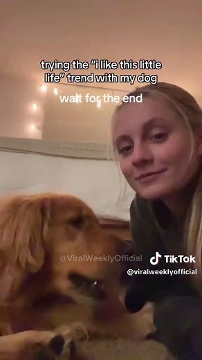 “I think I like this little life” Scare Prank on Dogs 😭😂 #funnydogvideos #scareprankondog #scareddog #prankondog #dogprank #dogreaction #doggetsscared #dogscreaming #dogpanic