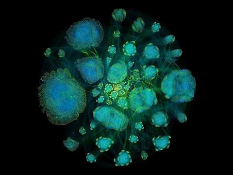 AI@HHMI: Accelerating Innovation in Biology