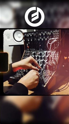 Moog Sound Studio Fun (DFAM, Subharmonicon, Labyrinth)