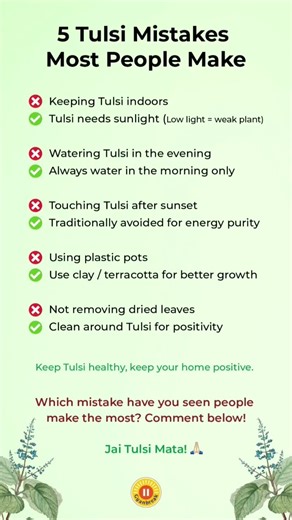 5 Tulsi Mistakes Most People Make