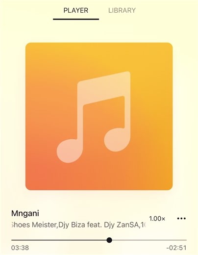 Mngani: A Fusion of Sounds and Rhythms