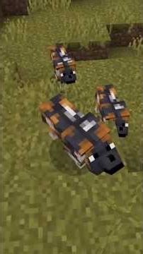 Dog breeds in Minecraft #minecraft #shorts