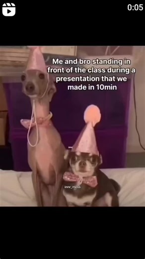 Academic Writer | Hmu for all Proctored exams & Class Management etc. #AcademicWriting #EssayHelp #AssignmentHelp #HomeworkHelp #StudySupport... | Instagram