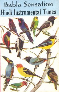 7102144-Babla-Babla-Sensation-Hindi-Instrumental-Sensation
