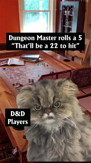 Dungeon Master Dice Rolls | #dnd5e #dndmemes #dungeonsanddragons