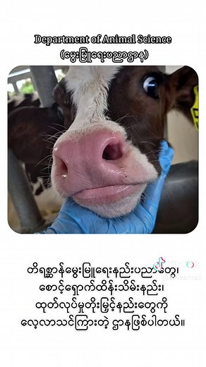 မွေးမြူရေးဆိုင်ရာ ဆေးတက္ကသိုလ် အကြောင်း