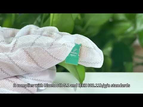 Ebyte EWM103 20dBm MINI Size 2.4GHz BLE5.1 WiFi+BLE Dual Mode Wireless Module WiFi Module test Kit