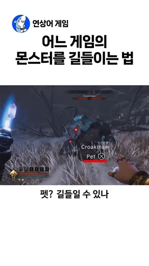 어느 게임의 몬스터 길들이는 법