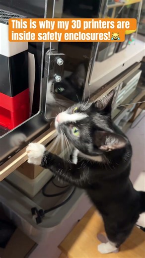 Every print needs a feline QA engineer. 😹 #cats #pets #petlover #funny #cat #viral #viralvideo
