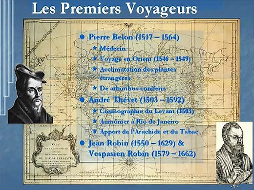 Aux racines de la botanique : De l'Antiquité au début du XVIIIe