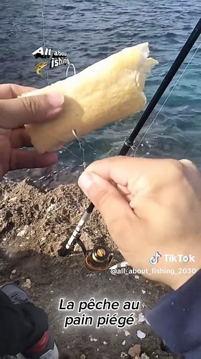 Techniques de pêche au pain piégé pour mulet et carpe
