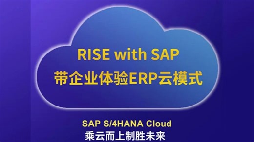 SAP云篇章五：RISE with SAP带企业体验ERP云模式【SAP S/4HANA Cloud,乘云而上制胜未来】