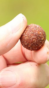 4.2K views · 57 reactions | MATCHING THE HATCH WITH AN EXTRA TWIST! 爛...