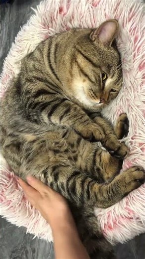 this is what happiness feels like