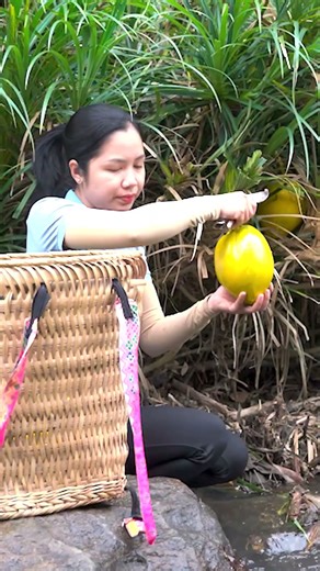 I Spent 24 Hours Harvesting 1000+Kg Golden Coconut Cluster: Unique Fruit with Many Uses 😮 #shorts