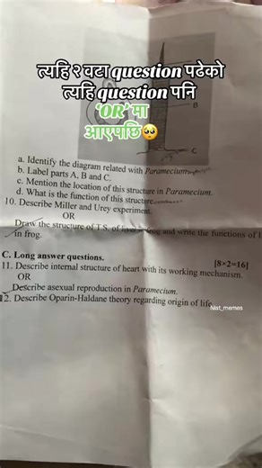 Understanding Confusion in Everyday Life