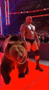 giant wrestler with grizlly bear 😯#shorts #shortvideo #shortsfeed #wwe