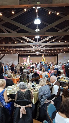 Vero Beach Art Club on Reels