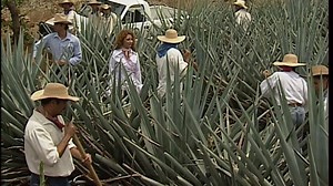 Destilando Amor | Capítulo 89