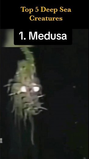 Top 5 Deep Sea Creatures You Won’t Believe Exist!😱