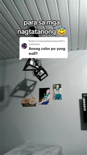 Smoke Grey and Seal Grey: Wall Paint Ideas and Color Combinations