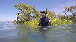 Ever wondered what it's like to study #marinescience at Griffith University? Well, it can get pretty wet and muddy. This field trip to North Stradbroke Island is one of several offered in the Griffith School of Environment. Check out what the students got up to! #BeRemarkable Griffith Sciences #GriffithUni http://ow.ly/nb3U30cSNvZ | Griffith University