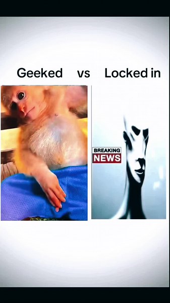 #geeked #lockedin #alien #real